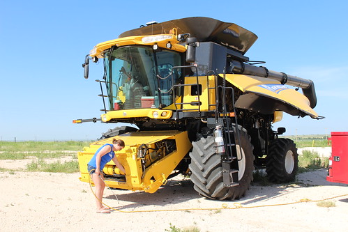 Z Crew: Crew member Taylor