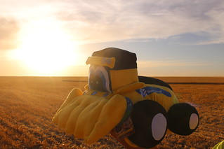 Check out this sweet PillowPet we got!