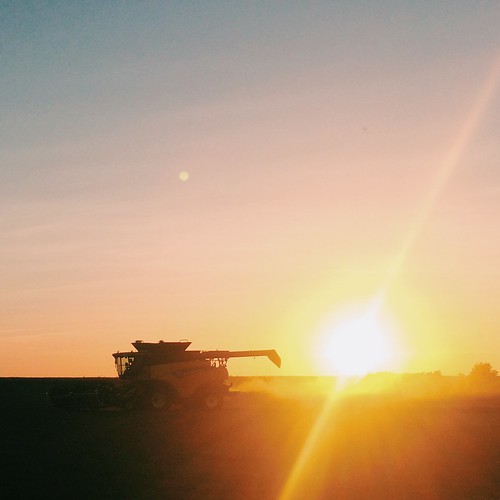 Z Crew: Work 'til days end