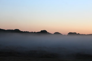 Dust hanging in the air.