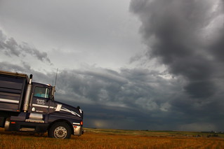 She looks like a mean one.