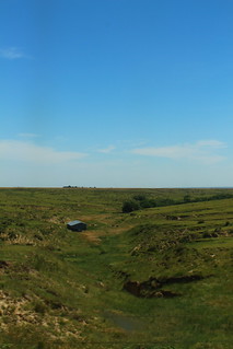 Where the green grass grows.