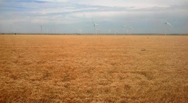 Wind turbine on the horizon