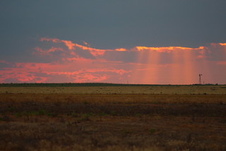 See the windmill?! I didn't tll after I took it.