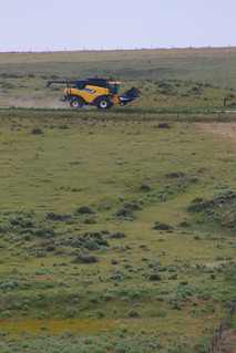 Ready to come down the hill.