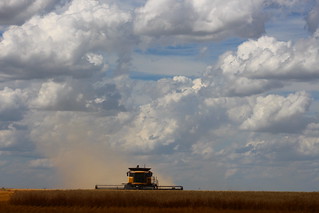 Moved on to our organic farmer.