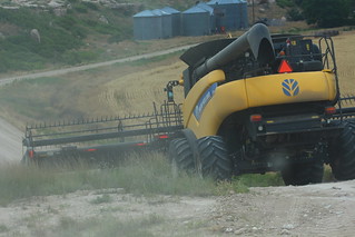 Quite a steep slope to the field!