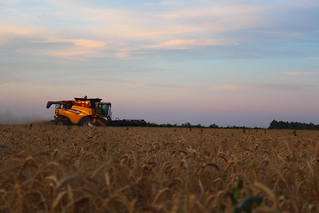 Dusk/sunset is the best.