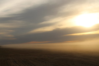 Dust hanging in the air.