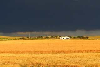 The lighting looks so cool!