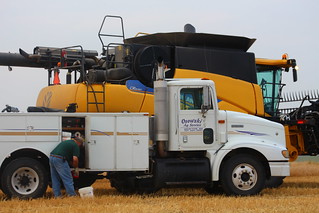 Throwing some fuel in.