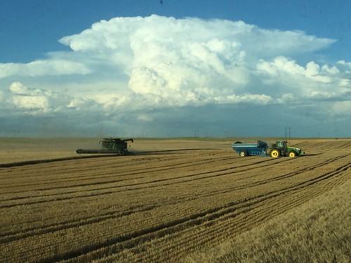 Z Crew: storm clouds