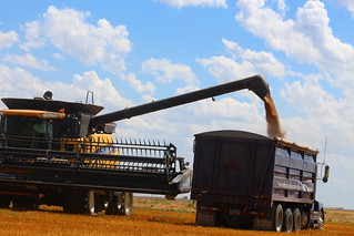 Purple getting a load.