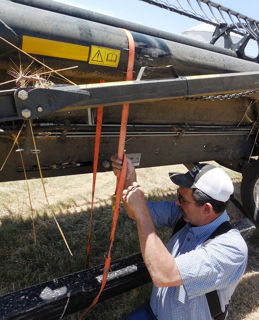 Dad strapping down the header