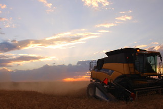 First field of Big Springs!