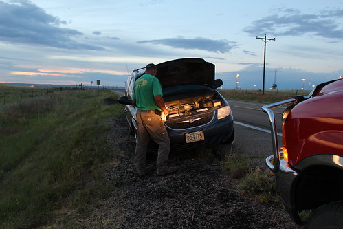 Z Crew: Excitement for the night