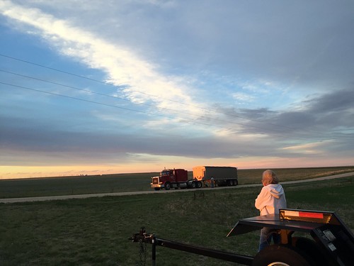 Z Crew: the best view