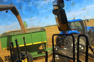 A day in the combine = this view.