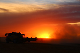 Almost looks like the sky is on fire...