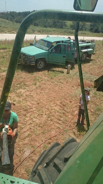 Emma: Triticale and Mud