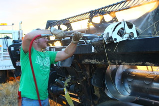 Cleaning off the header for the trip north.