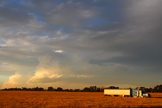 Petey waiting for a load.