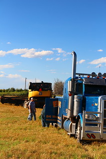 Wreckers to the rescue!