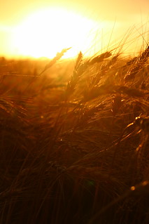 Can't ever get used to the beauty.