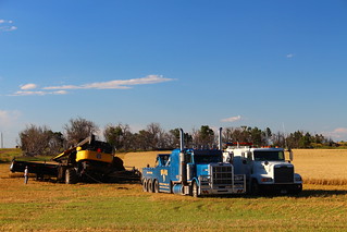 Yes, it took TWO wreckers to get us out.