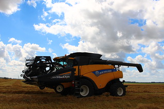 Bout to start last barley field!