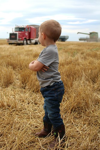 Z Crew: little farmer