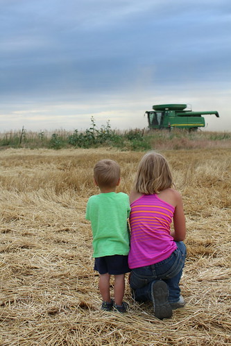 Z Crew: watchin' the combines go by