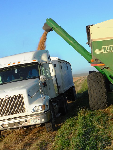 Grain cart unloading