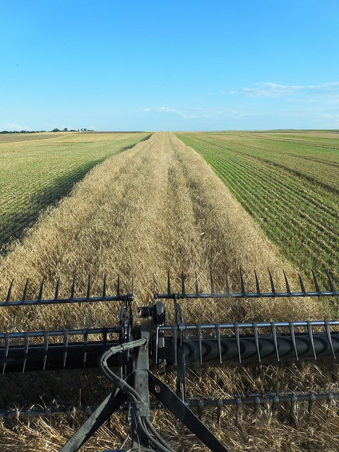 Catching the back swath