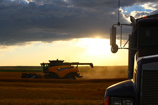 Last couple swipes of the field!