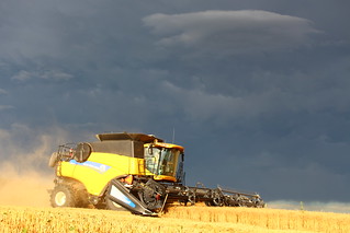 Storm in the background.