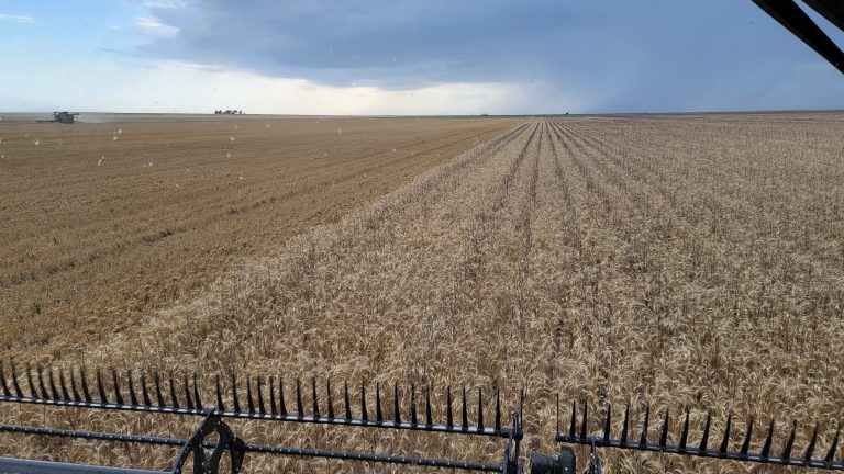 All Aboard Harvest