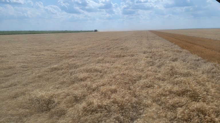 All Aboard Harvest