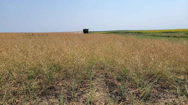 All Aboard Harvest