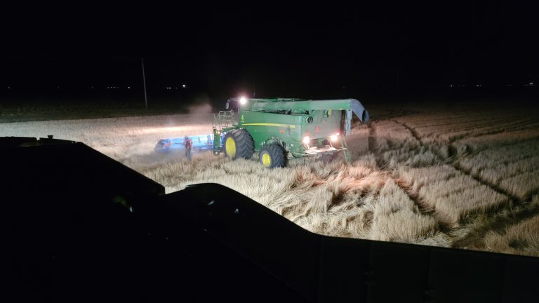 All Aboard Harvest