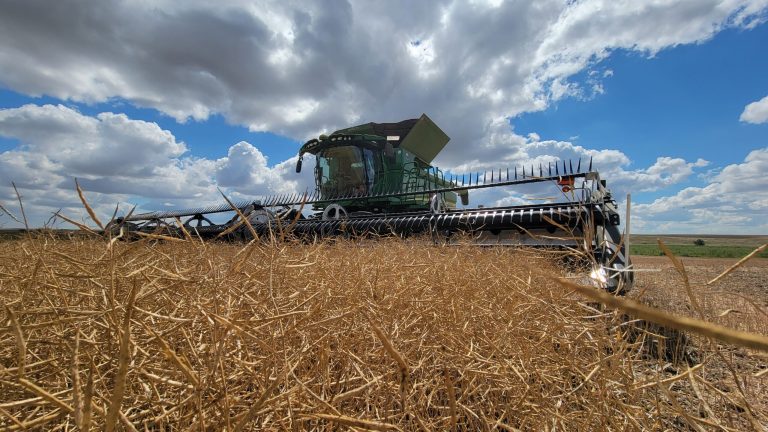 All Aboard Harvest