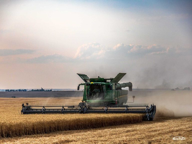 All Aboard Harvest
