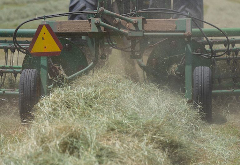 Yields look promising as baling is starting on the first crop of hay across Central and East Texas. (Michael Miller/Texas A&M AgriLife)