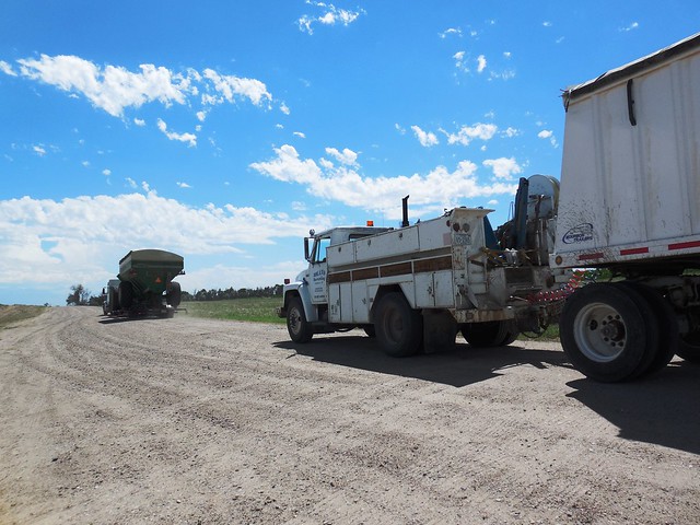 Getting ready to head north