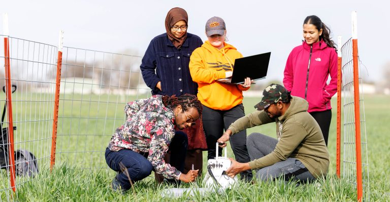 At the end of March, students of Mary Foltz, assistant professor in the OSU School of Civil and Environmental Engineering, placed chambers in Oklahoma State University wheat fields to measure carbon dioxide, methane and nitrous oxide emissions. (Photo by Mitchell Alcala, OSU Agriculture)