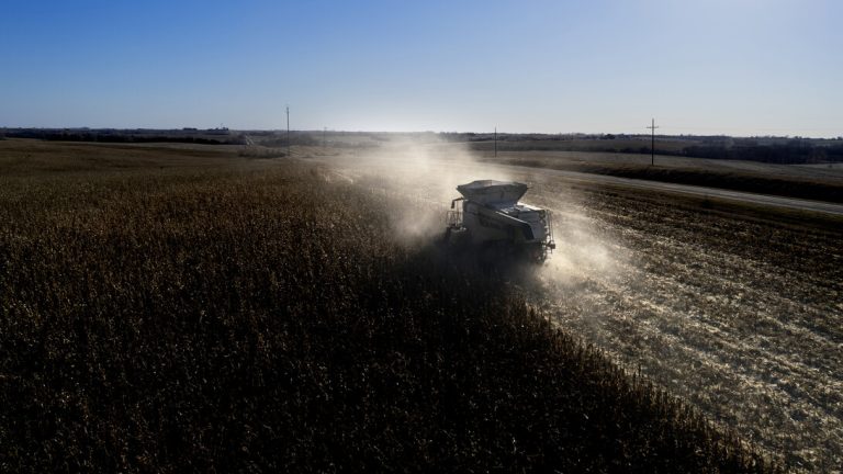 Justin Korver harvests corn in southeast Lancaster County in November 2023. Total farm receipts in Nebraska are projected to increase $731 million, to $33.37 billion, in 2025. (Courtesy photo.)