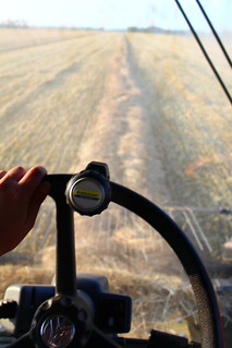 Swathing was a fun change!