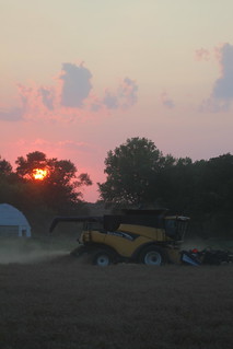 A shot I took from the combine cab!