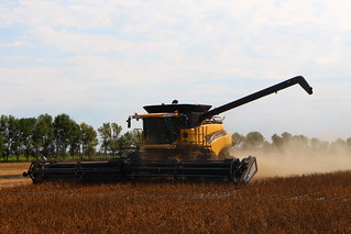 Dad in the combine.
