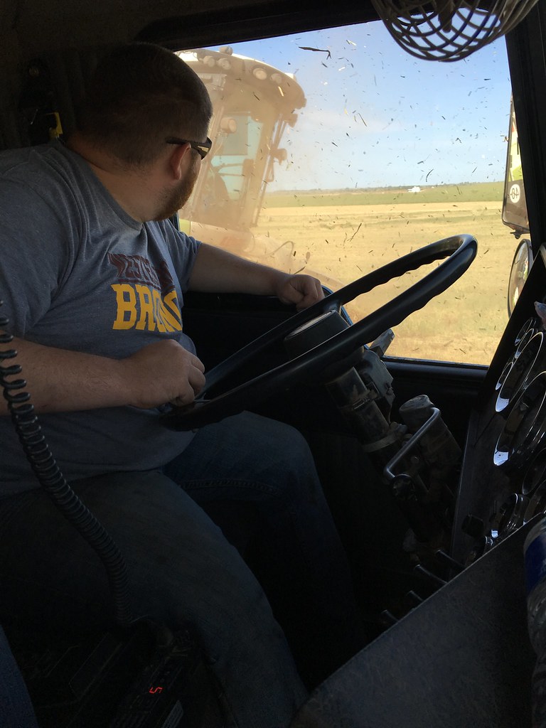 Emma: new horizons! Custom chopping